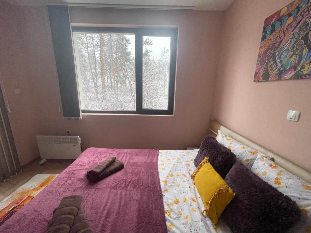Ferienwohnung Nikol 2 Deluxe Welingrad Exterior foto